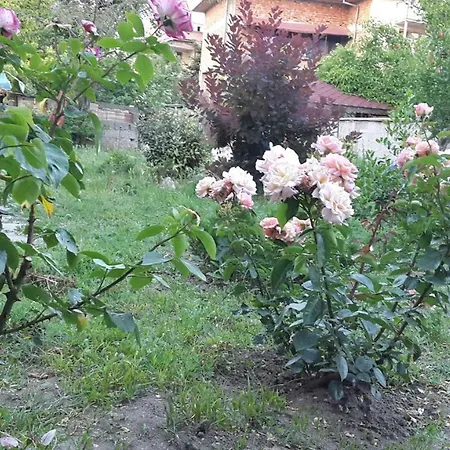 Гостевой дом Sunny House *
